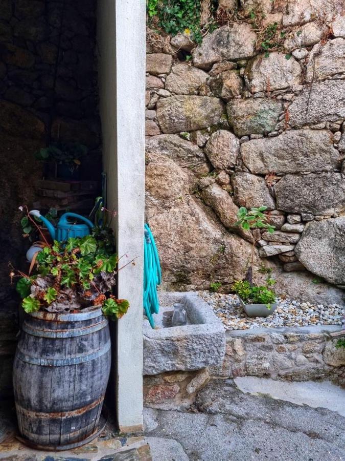 Alojamiento Casa Carlota Villadesuso المظهر الخارجي الصورة
